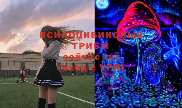спиды Алексеевка