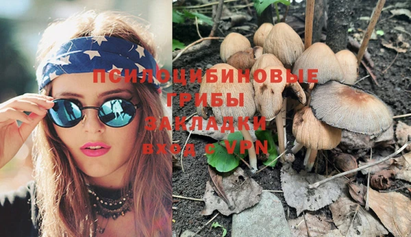 спиды Алексеевка